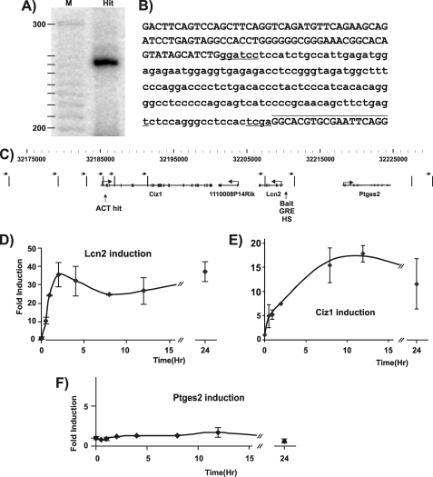 FIGURE 1.