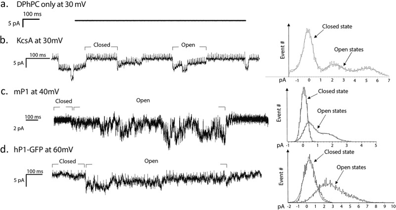 Figure 5.