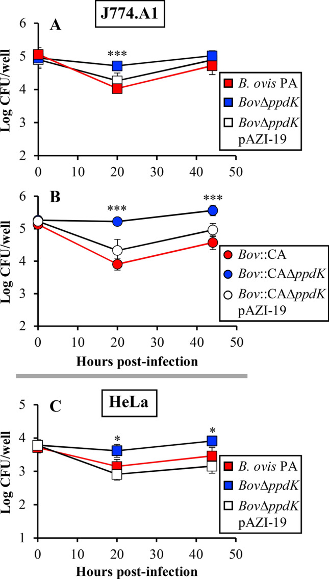 Figure  2