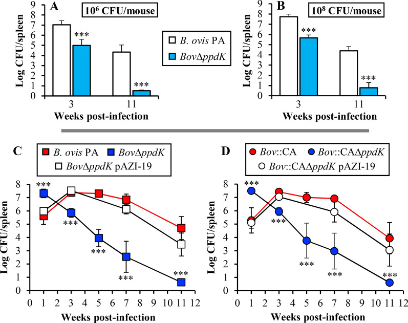 Figure  3