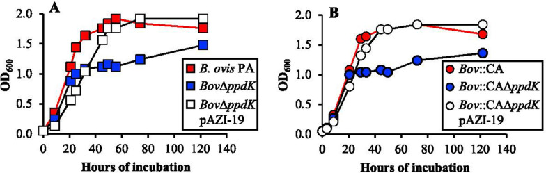 Figure  1