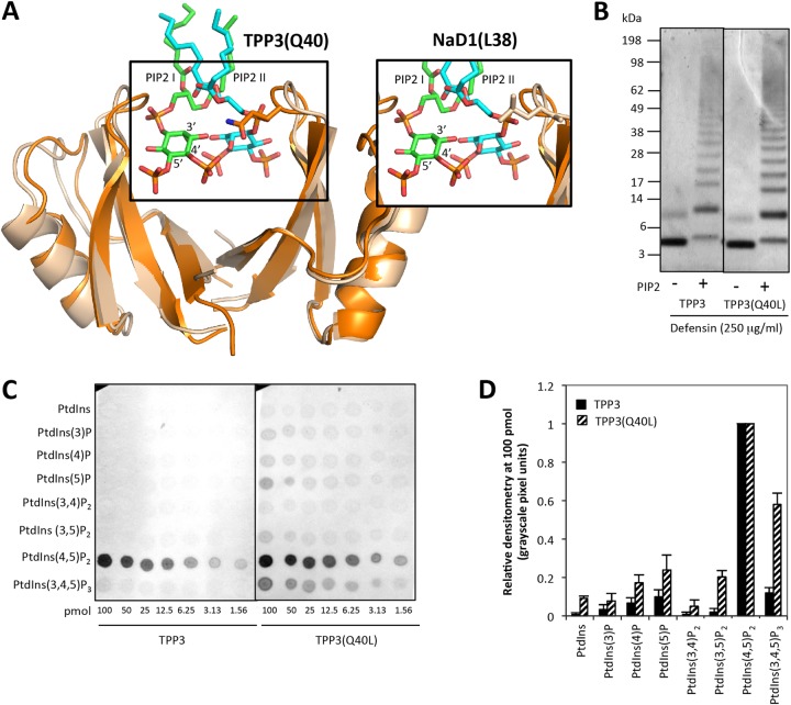 FIG 10