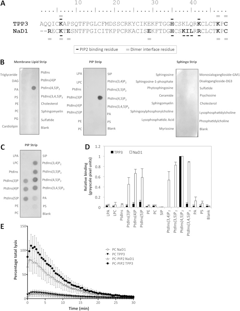 FIG 1