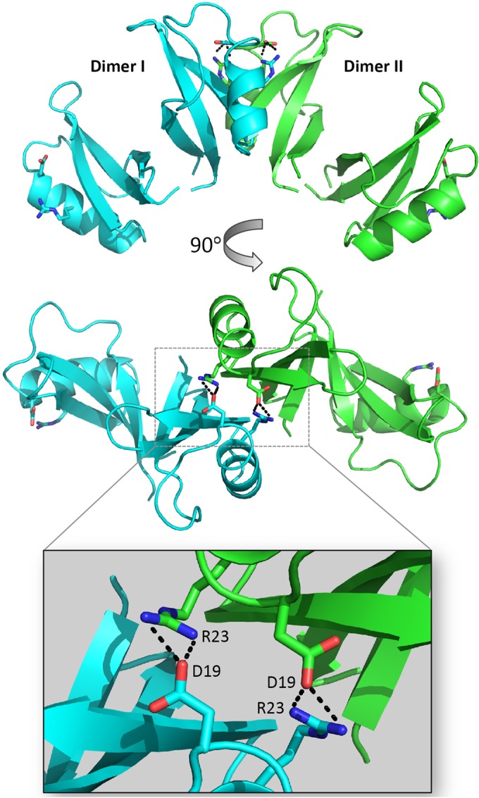 FIG 3