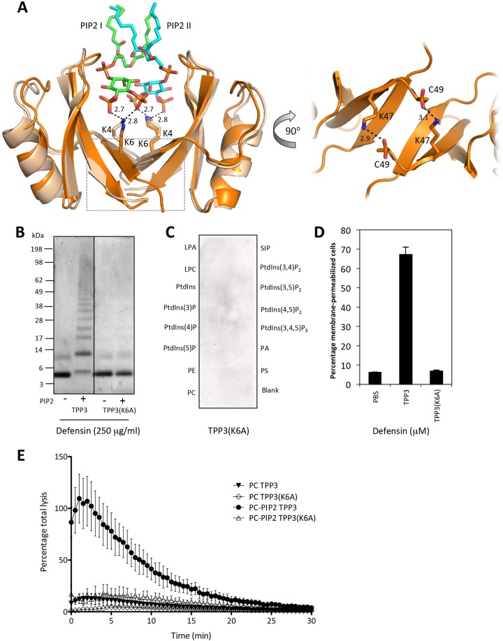 FIG 6