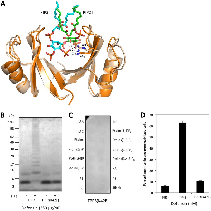 FIG 8