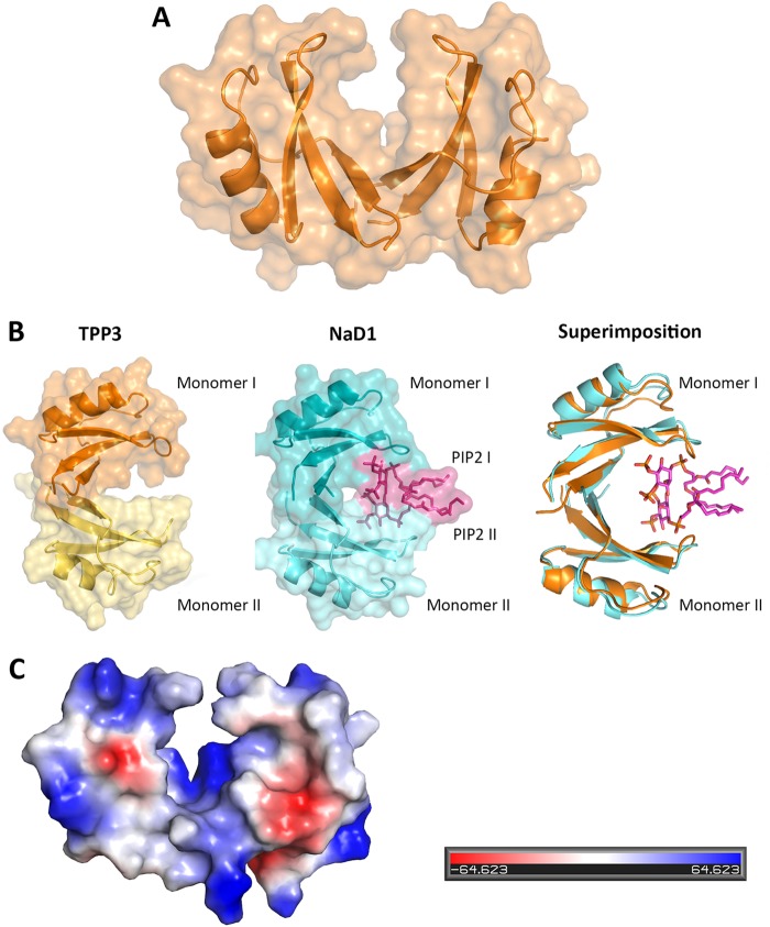 FIG 2