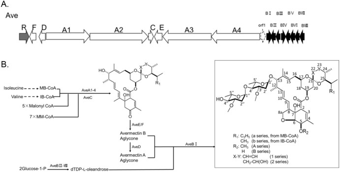 Fig. 2