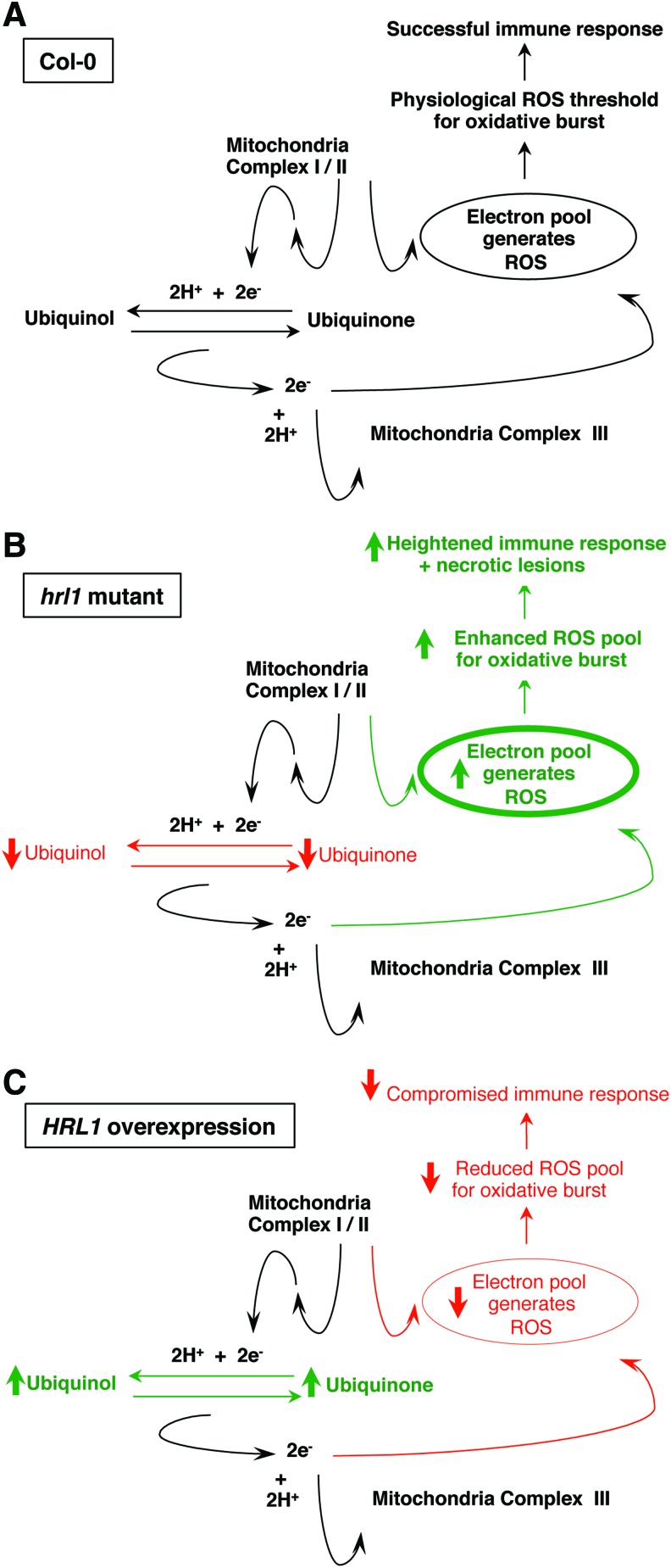 FIG. 7.