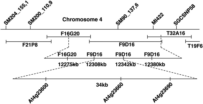 FIG. 1.