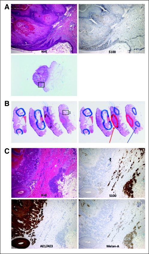 Fig A1.