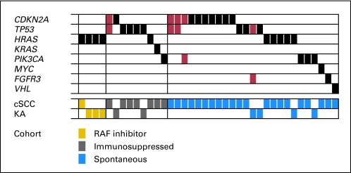 Fig 1.