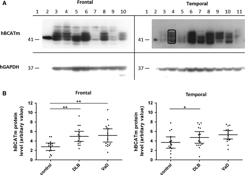 Fig. 4