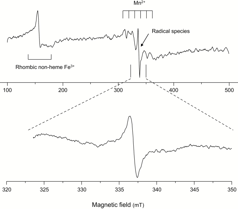 Fig. 2.