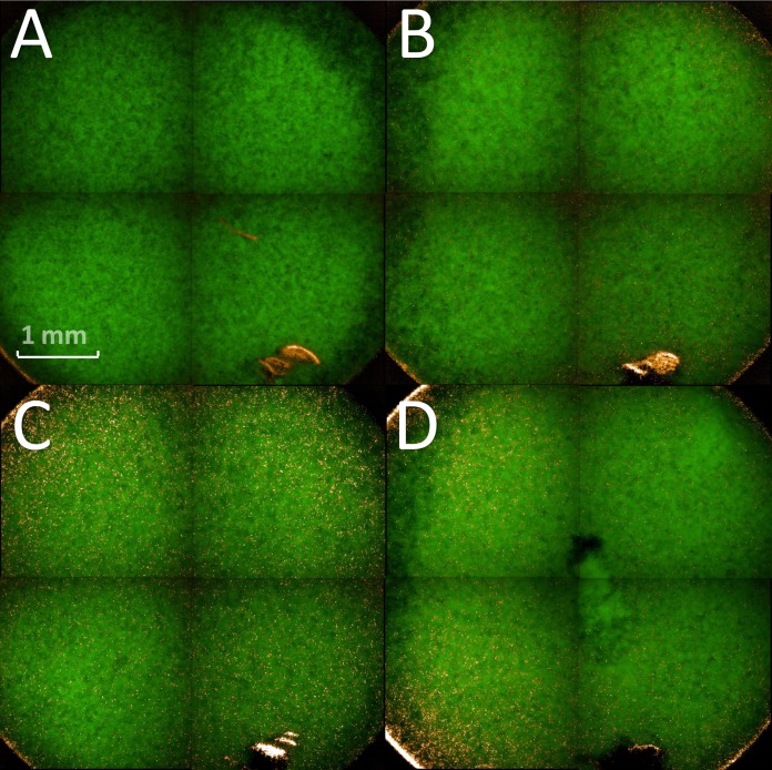 FIG 4