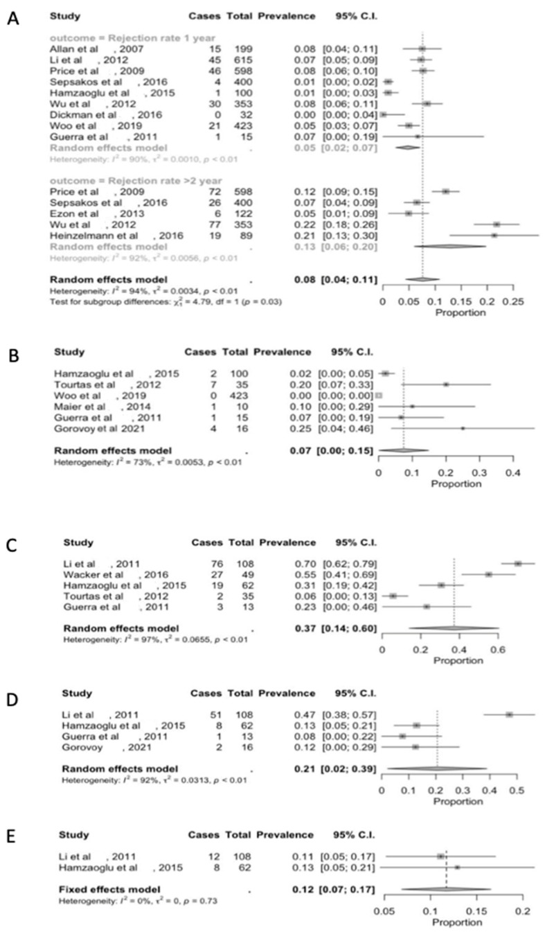 A Functional and Immunologic Point of View on Corneal Endothelial ...