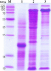 Fig. 3