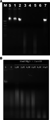 Fig. 7