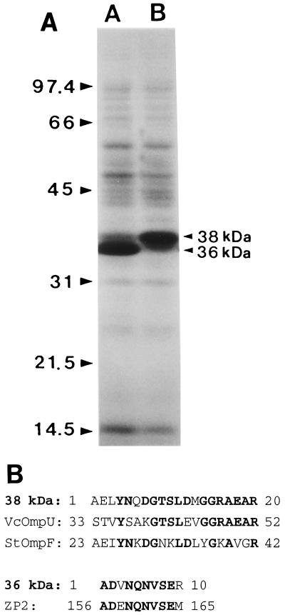 FIG. 10