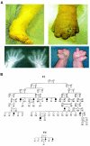 Figure  1