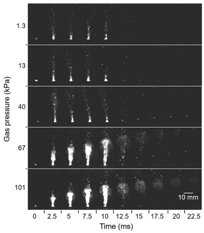 Figure 12