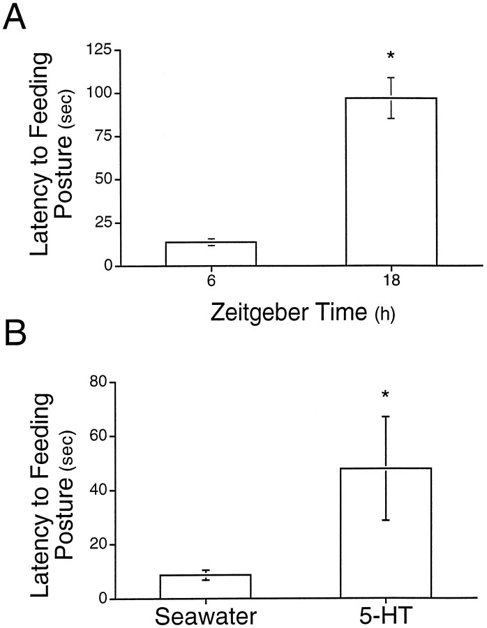 Fig. 8.