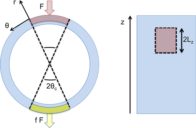 Figure 5: