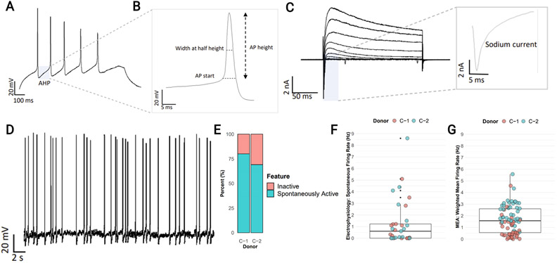 Figure 3: