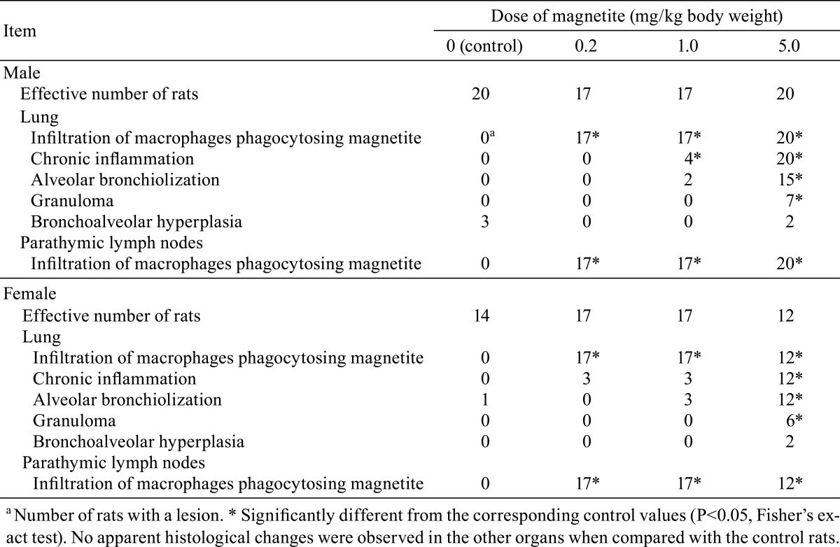 graphic file with name tox-26-393-t002.jpg