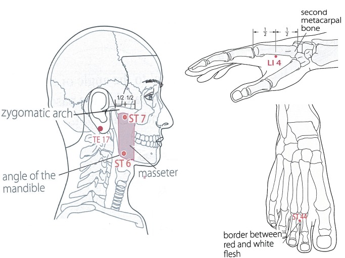 Fig 2