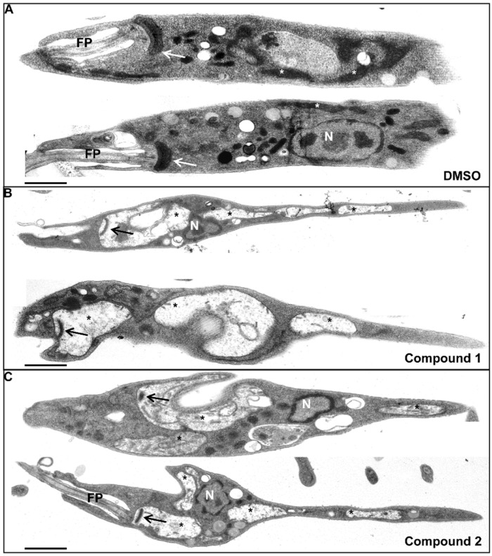 Fig 5