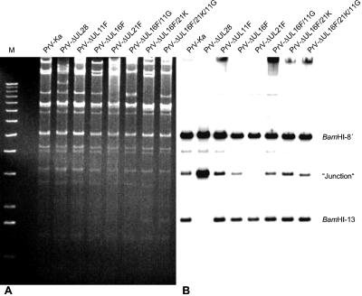 FIG. 7.