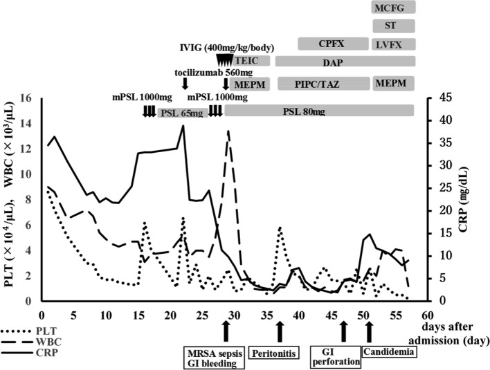 Fig. 4