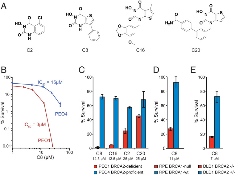 Fig. 2.