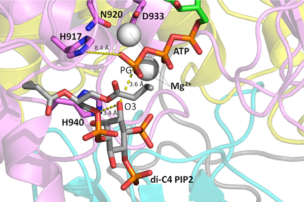 Figure 3.