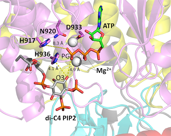 Figure 2.