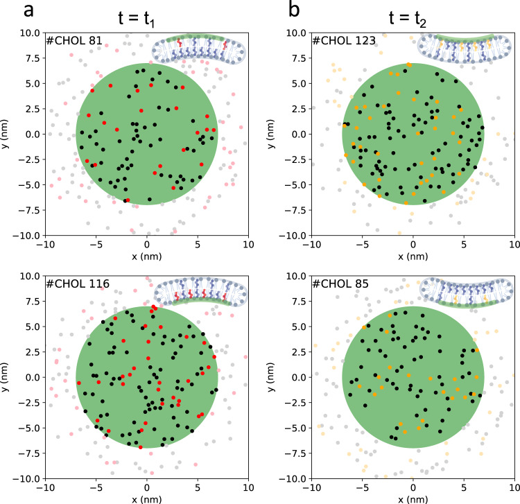 Fig. 4