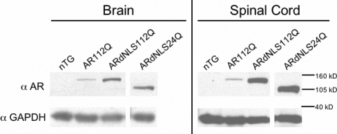 Figure 1.