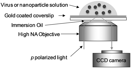 Fig. 1.