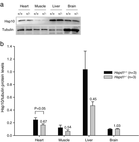 Fig. 6