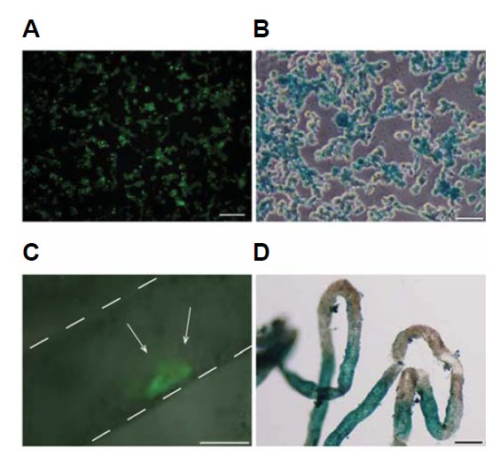 Fig. 4.