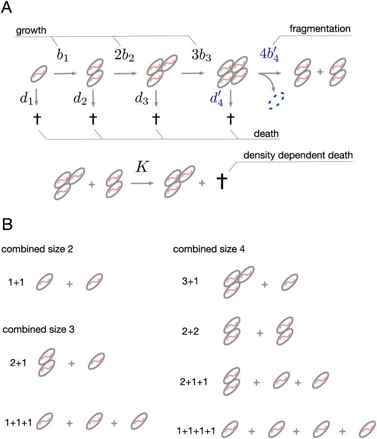 Fig 2