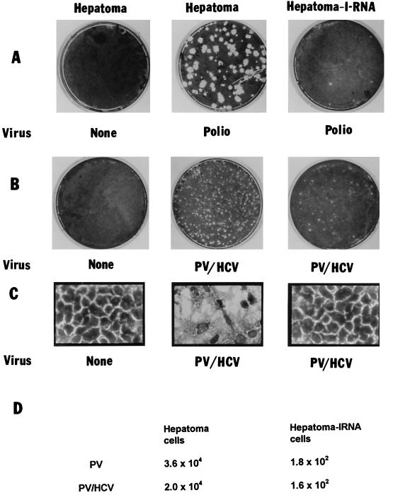 FIG. 7