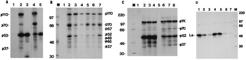 FIG. 9