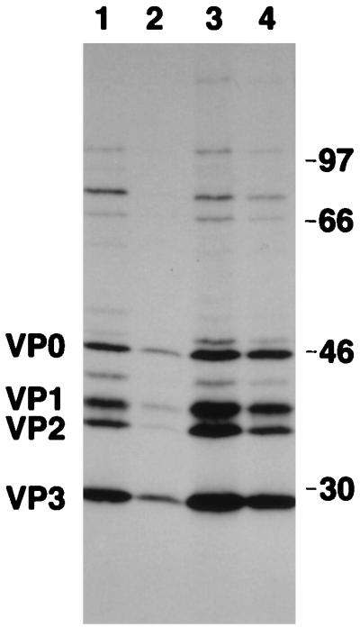 FIG. 8