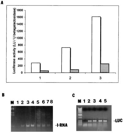 FIG. 5