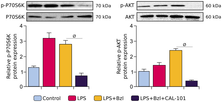 Figure 6