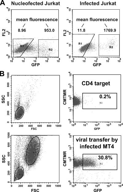 FIG. 2.