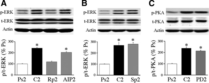 FIG. 6.