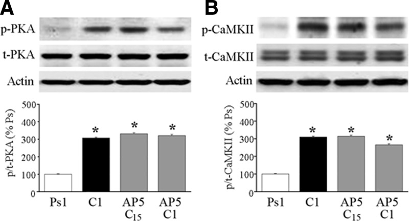 FIG. 7.